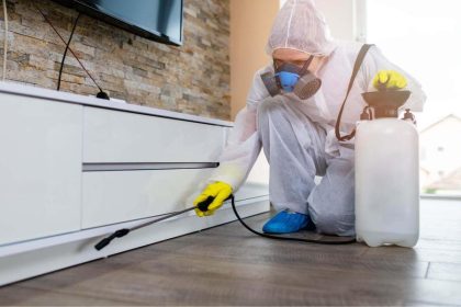 What are the factors you should think about when controlling a furniture pest