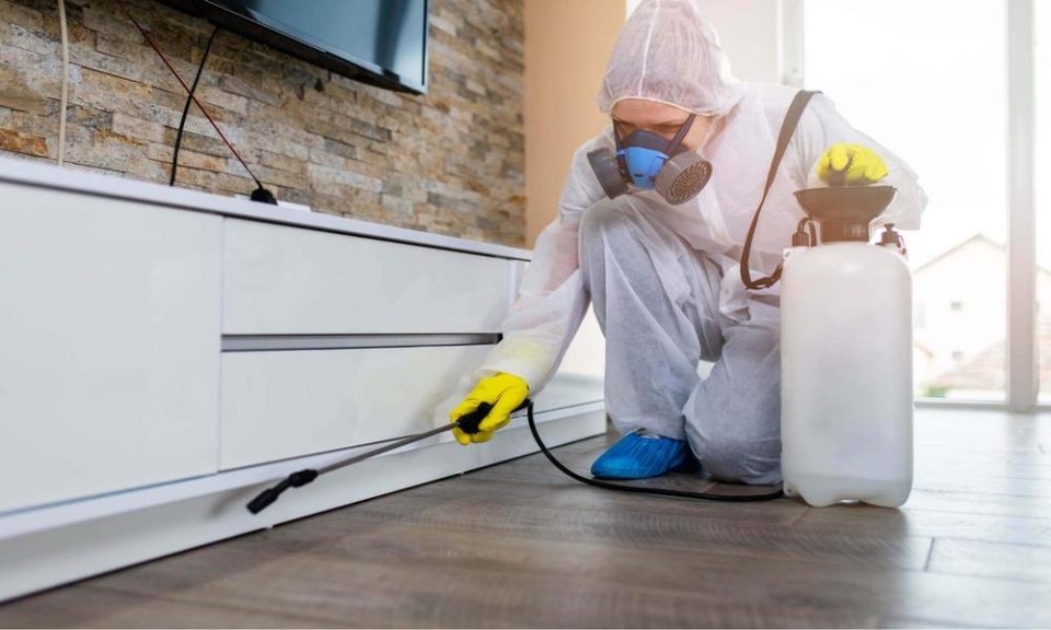 What are the factors you should think about when controlling a furniture pest